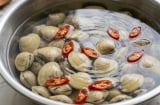 Mẹo làm ngao nhả cát nhanh, sạch không còn một hạt sạn