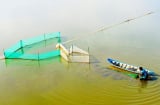 Những nghề mưu sinh độc đáo trong mùa nước nổi miền Tây Nam Bộ