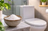 Vì sao nhiều gia đình đặt bát muối biển trong nhà vệ sinh?