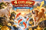 4 con giáp Thời Vận Đang Lên như cá gặp nước từ 13/9 đến 22/9