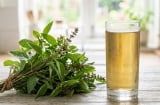 6 lợi ích của việc uống nước lá húng quế