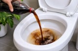 Vì sao nhiều người đổ Coca-Cola vào bồn cầu?