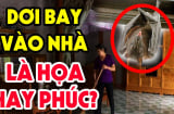 3 con vật vào nhà mang tới may mắn