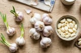 Mẹo bảo quản tỏi cả năm không mọc mầm, thơm ngon như mới mua