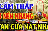 Thắp hương Rằm hay mùng 1 âm lịch nên chọn 1, 3 hay 5 cây nhang để hút lộc?