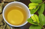 Nên uống nước lá ổi khô hay tươi?