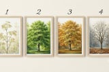 Chọn 1 cái cây bạn thích nhất sẽ nói lên vận may trong tháng 10 của bạn