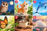 Bạn chú ý vào hình ảnh nào nhất?