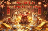 Từ nay tới cuối tuần đổi đời: 3 con giáp số phận đảo chiều Cá Chép hóa Rồng, giàu sang gõ cửa