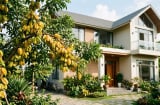 Mệnh nào hợp cây khế nhất?