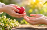 Người càng biết cho đi thứ này thì càng nhận nhiều điều quý giá trong cuộc sống