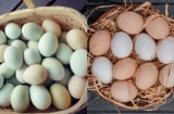Trứng gà và trứng vịt - loại nào bổ dưỡng hơn?
