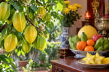 Vì sao nhiều người thích trồng cây khế phong thủy nhưng hầu như không dùng quả khế để thắp hương?