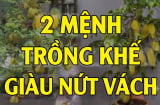 2 mệnh trồng khế cực kỳ hút tài lộc: Tiền về như nước