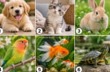 Chọn 1 thú cưng ấn tượng nhất: Hé lộ cách người khác nhìn nhận về bạn