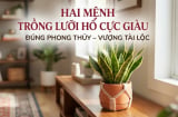 2 mệnh trồng lưỡi hổ cực kỳ may mắn: Cây càng xanh người càng giàu có
