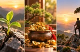 3 ngày sinh âm lịch của người Kiên Cường, Khó Khăn Không Nao Núng, Càng Già Càng Giàu