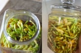 Cách làm hoa đu đủ đực ngâm mật ong để được lâu