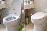 Dùng xong nên đóng hay mở nắp bồn cầu? Đây mới là cách vệ sinh đúng