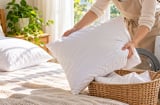 Bao lâu nên giặt gối một lần? 4 mốc thời gian nên nhớ để tránh tích tụ mồ hôi, bụi bẩn