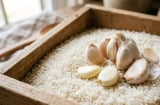 Vì sao nên để vài nhánh tỏi trong thùng gạo?