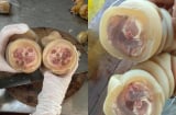 Vó bò là bộ phận nào của con bó?