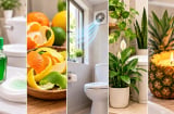 5 mẹo khử mùi hôi nhà vệ sinh nhanh, nguyên liệu quen thuộc nhưng hiệu quả bất ngờ