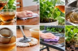 Nước trà để qua đêm đừng vội đổ đi: 7 cách tận dụng đơn giản, công dụng bất ngờ