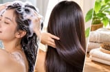 Bao lâu nên gội đầu một lần để giúp da đầu sạch, tóc mượt mà không khô xơ, gãy rụng