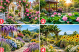 Chọn 1 vườn hoa bạn thấy đẹp nhất, để xem năng lượng của bạn tỏa ra thế nào
