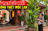 3 Vị trí tốt nhất trồng cây Thiết Mộc Lan cho gia chủ