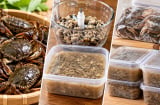 Cách để cua đồng lâu hỏng, không thâm đen: 6 mẹo bảo quản nhiều người chưa biết