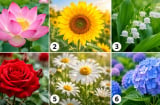 Bạn ấn tượng với bông hoa nào?