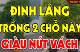 Cây đinh lăng trấn giữ của cải đừng trồng linh tinh: 3 vị trí hút tài lộc tiền về như nước