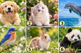 Chọn 1 con vật khiến bạn thích thú để xem bạn thu hút vận may nhờ điểm nào