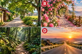 Hãy chọn 1 con đường bạn muốn đi qua