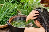 Vì sao nhiều người mách nhau gội đầu bằng nước cỏ mần trầu?