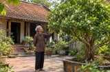 2 người hợp tuổi trồng cây Nguyệt Quế, tiền vào như nước