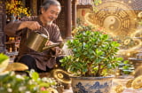 4 loại cây ra Lộc, Tiền trong nhà cứ vơi lại có