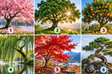 Chọn 1 hình ảnh cái cây, xem tâm trạng hiện tại của bạn đang thế nào