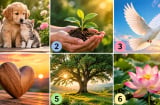 Chọn 1 hình ảnh để xem bạn có lòng trắc ẩn đến đâu