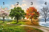 Trắc nghiệm: Lựa chọn 1 cái cây sẽ nói cho bạn biết tháng 9 âm bạn giàu có hay không?
