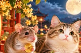 Từ đêm nay tới Rằm tháng 9: 3 con giáp chú ý kẻo vạ miệng là Mất Tiền To