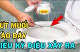 Vì sao nên bỏ chút muối vào bồn cầu
