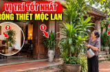 2 vị trí đặt cây Thiết Mộc Lan xoá tan nghèo khổ