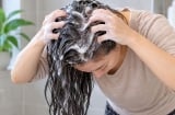 Vì sao không nên thoa dầu gội trực tiếp lên thân tóc, đâu mới là cách đúng?