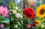 Bạn ấn tượng với hình ảnh bông hoa nào?