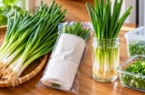 Mẹo cất hành lá tươi lâu, giữ mùi thơm, không vàng úa