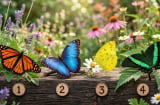 Trắc nghiệm: Chọn 1 chú bướm bạn thích nhất sẽ nói trước tháng 9 bạn giàu có cỡ nào