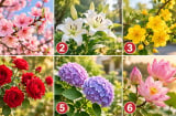 Chọn 1 cành hoa bạn ấn tượng nhất, điều mới mẻ nào sắp mở ra trong cuộc sống?
